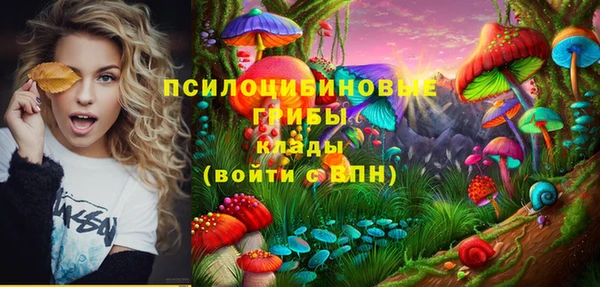 СК Инсар