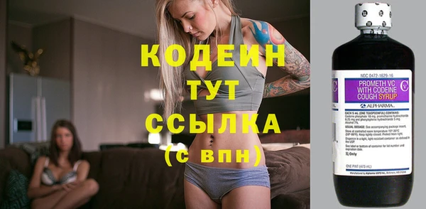 прущая мука Инта