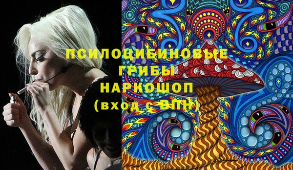 СК Инсар