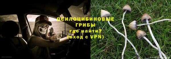 СК Инсар