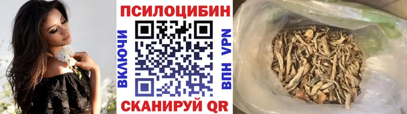 Псилоцибиновые грибы GOLDEN TEACHER  Купить где  Дыгулыбгей 