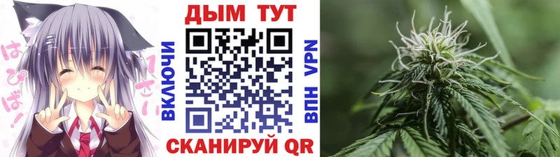 Купить закладки  Дыгулыбгей  МАРИХУАНА THC 21% 